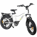 20" Rear Drive Motor Samsung Lithium Battery Fat Tyre Electric Bike for Children